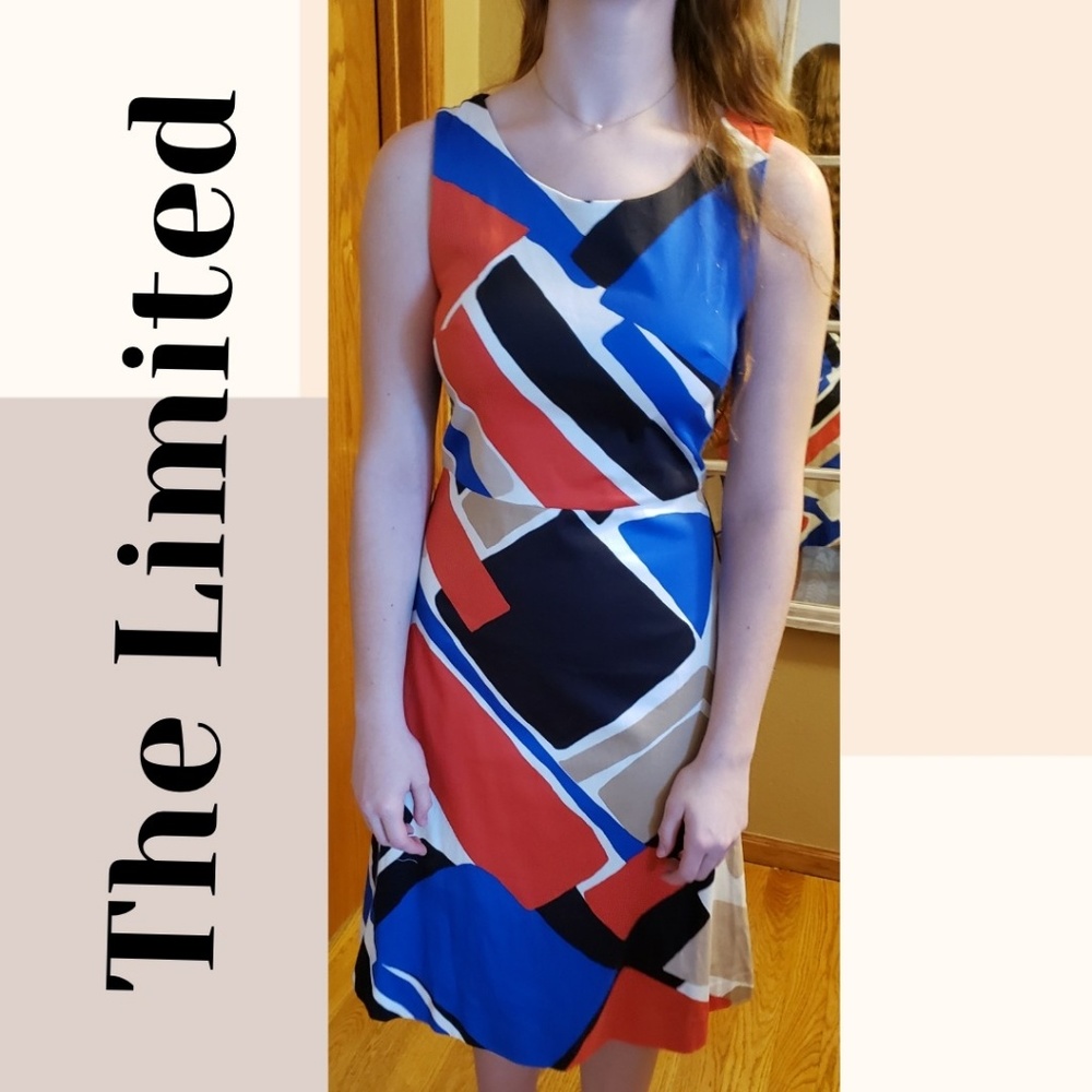 🆕️NWT The Limited Color Block Dress